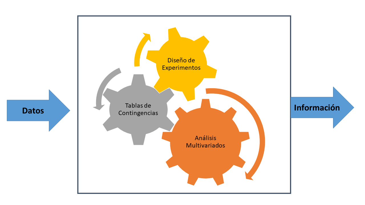 Ruta de formación en herramientas estadísticas usadas en diseño de investigación